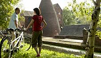 Feature Image 3