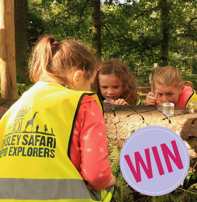 Win a family ticket to Knowsley Safari