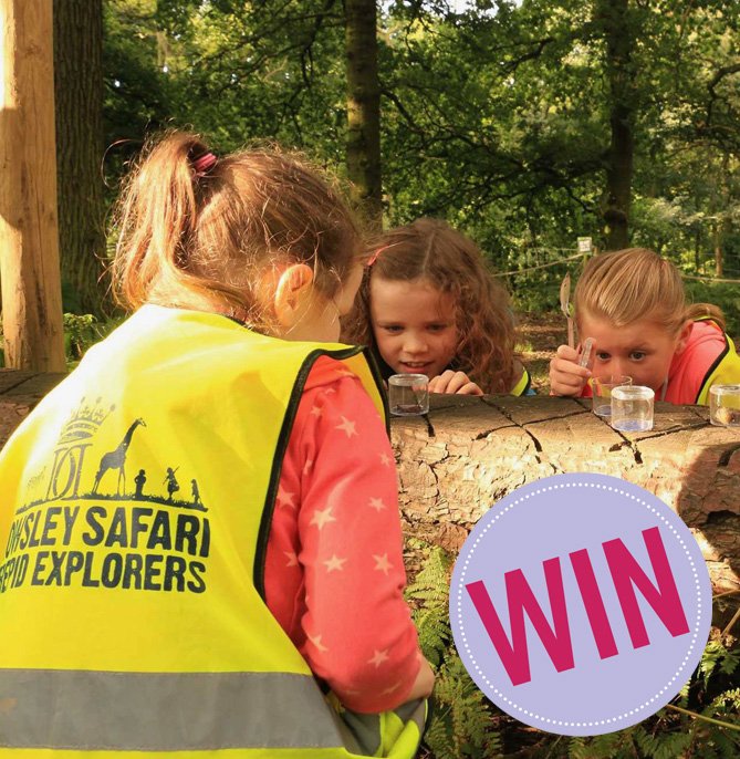 Win a family ticket to Knowsley Safari