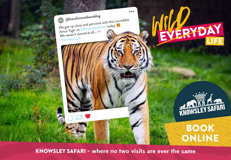 knowsley safari menu