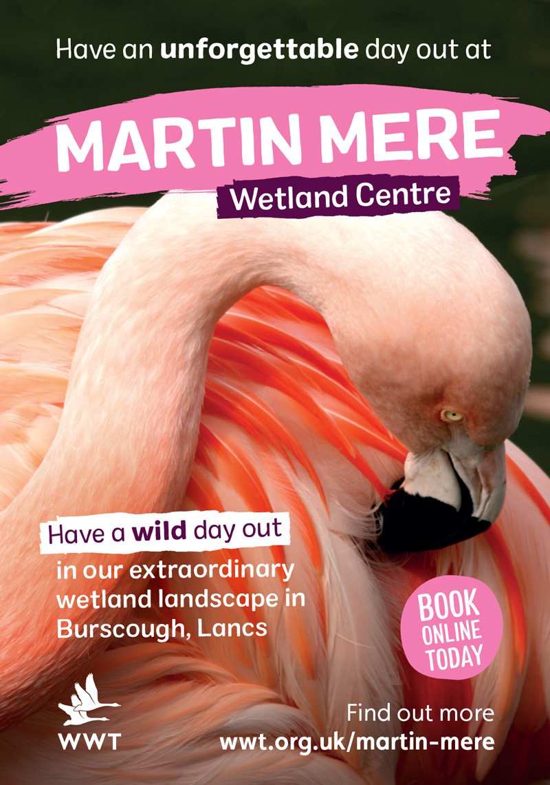 Martin Mere Wetland Centre