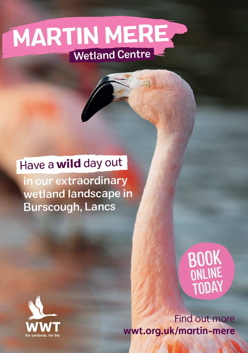 Martin Mere Wetland Centre